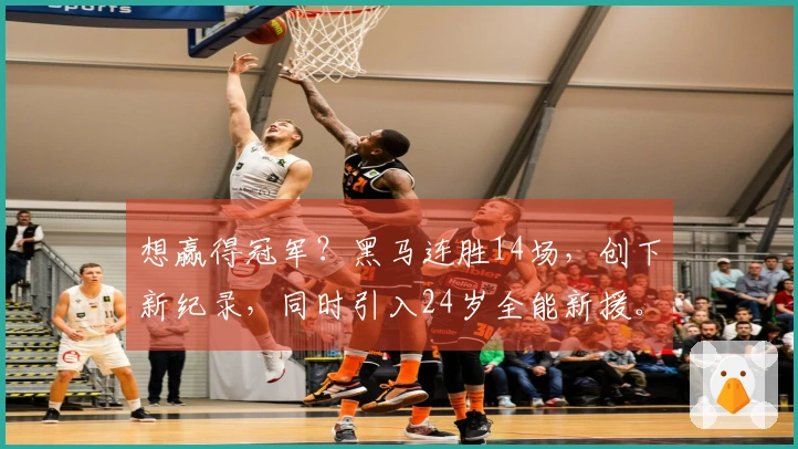 想赢得冠军？黑马连胜14场，创下新纪录，同时引入24岁全能新援。